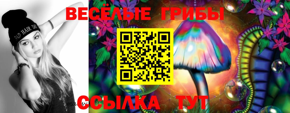 Галлюциногенные грибы MAGIC MUSHROOMS  Вход с VPN  Краснокаменск 